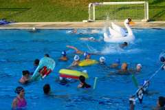 IMG-d2ef1e6cf88b4943ec0498a829510eba-V